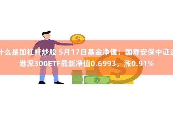 什么是加杠杆炒股 5月17日基金净值：国寿安保中证沪港深300ETF最新净值0.6993，涨0.91%