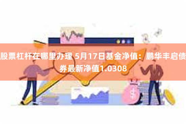 股票杠杆在哪里办理 5月17日基金净值：鹏华丰启债券最新净值1.0308