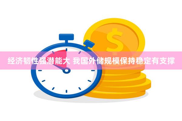 经济韧性强潜能大 我国外储规模保持稳定有支撑