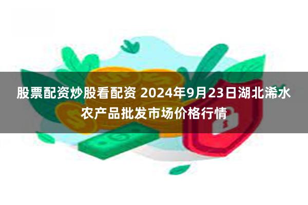 股票配资炒股看配资 2024年9月23日湖北浠水农产品批发市场价格行情