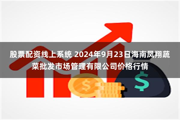 股票配资线上系统 2024年9月23日海南凤翔蔬菜批发市场管理有限公司价格行情