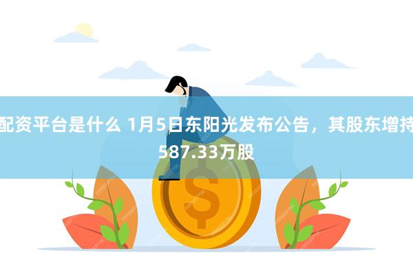 配资平台是什么 1月5日东阳光发布公告，其股东增持587.33万股