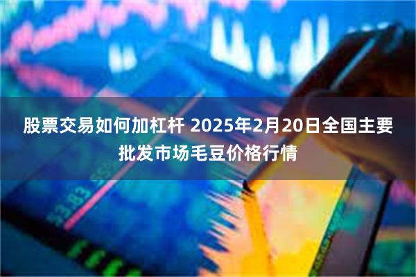 股票交易如何加杠杆 2025年2月20日全国主要批发市场毛豆价格行情