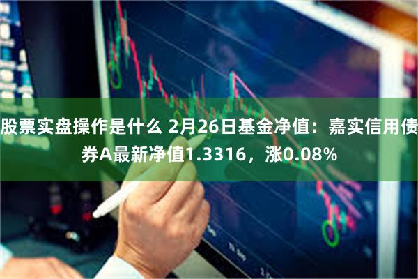 股票实盘操作是什么 2月26日基金净值：嘉实信用债券A最新净值1.3316，涨0.08%